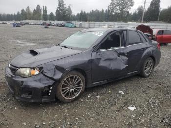  Salvage Subaru WRX