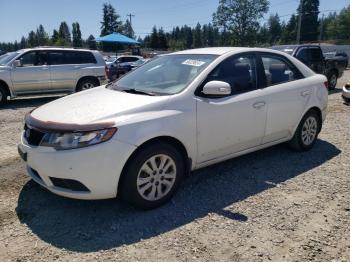  Salvage Kia Forte