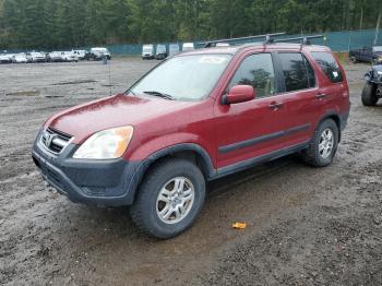  Salvage Honda Crv