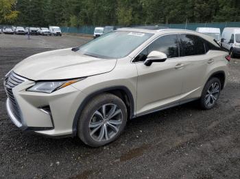  Salvage Lexus RX