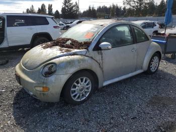  Salvage Volkswagen Beetle