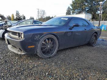  Salvage Dodge Challenger