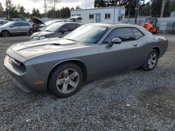  Salvage Dodge Challenger