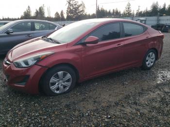  Salvage Hyundai ELANTRA