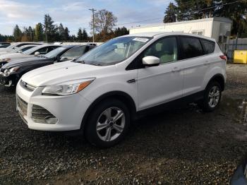  Salvage Ford Escape