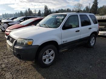  Salvage Ford Escape