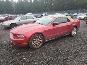  Salvage Ford Mustang