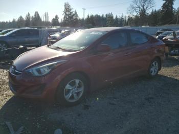  Salvage Hyundai ELANTRA