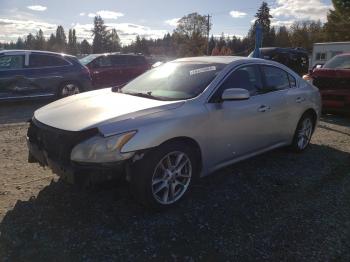  Salvage Nissan Maxima