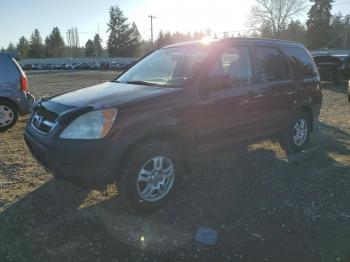  Salvage Honda Crv