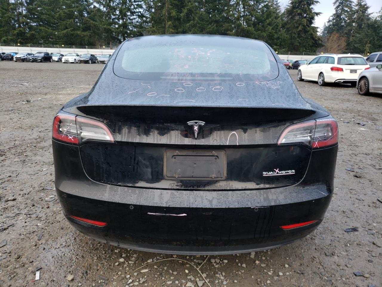 Tesla Model 3 Image 10