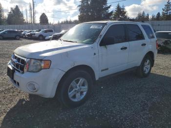  Salvage Ford Escape