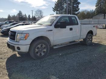  Salvage Ford F-150