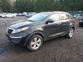  Salvage Kia Sportage