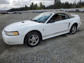  Salvage Ford Mustang