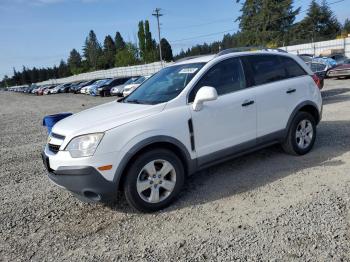  Salvage Chevrolet Captiva