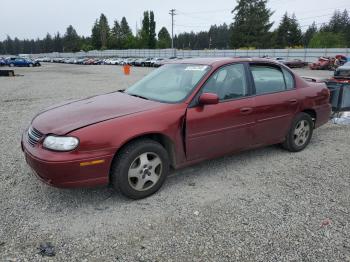  Salvage Chevrolet Malibu