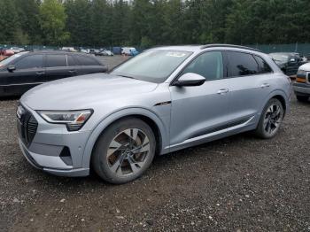  Salvage Audi e-tron