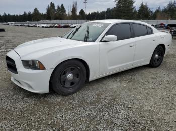  Salvage Dodge Charger