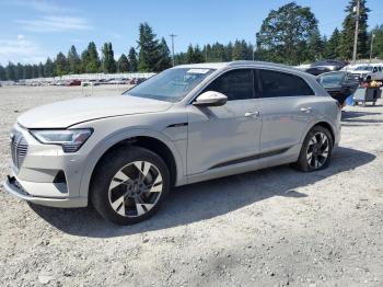  Salvage Audi e-tron