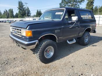  Salvage Ford Bronco