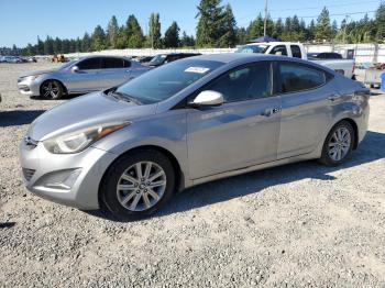  Salvage Hyundai ELANTRA