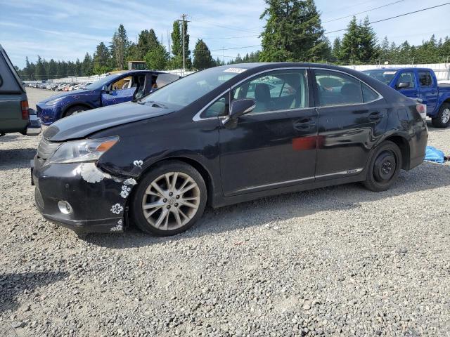  Salvage Lexus Hs