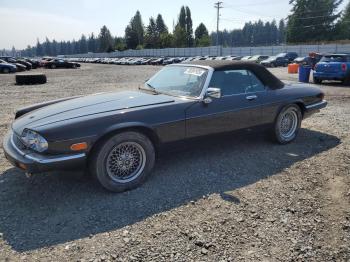  Salvage Jaguar Xjs