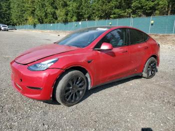  Salvage Tesla Model Y