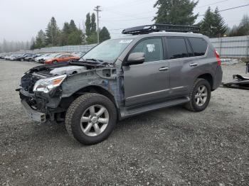  Salvage Lexus Gx