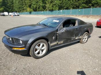  Salvage Ford Mustang