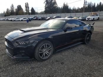  Salvage Ford Mustang