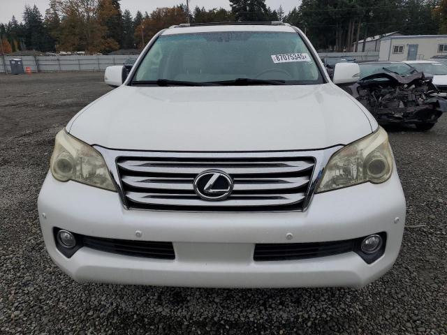 Lexus Gx 460 Image 2