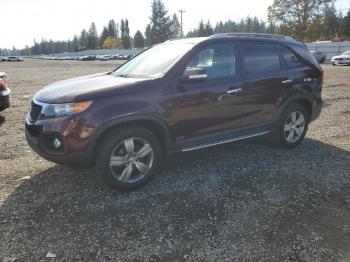  Salvage Kia Sorento