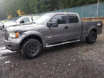  Salvage Ford F-150