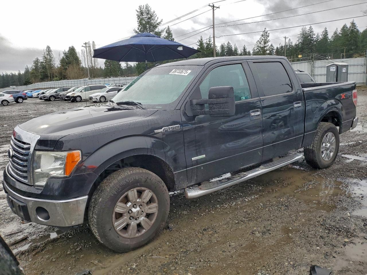 Ford F-150 Supercrew Image 1