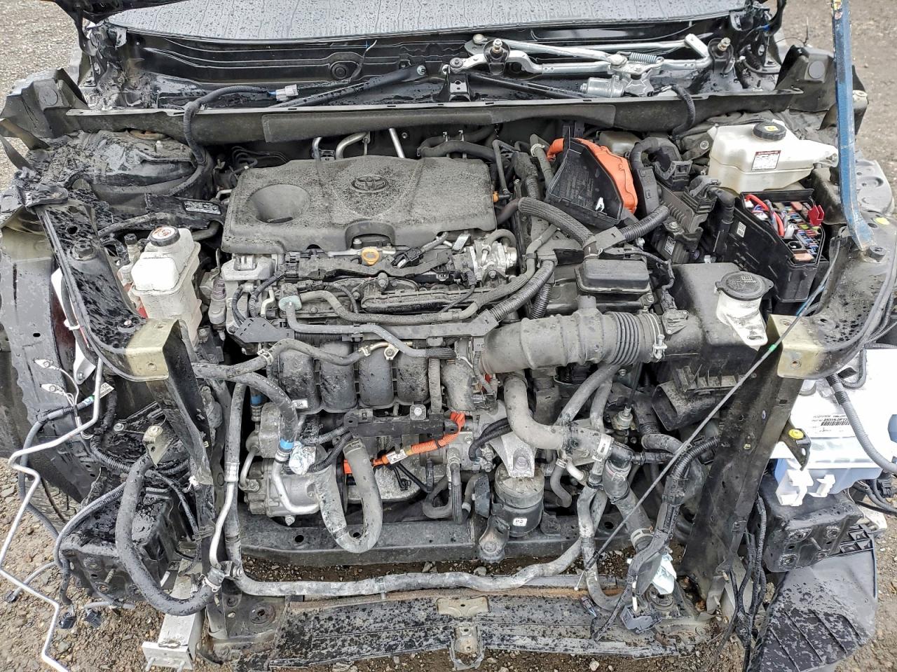 Toyota Highlander Hybrid Bronze Edition Image 4