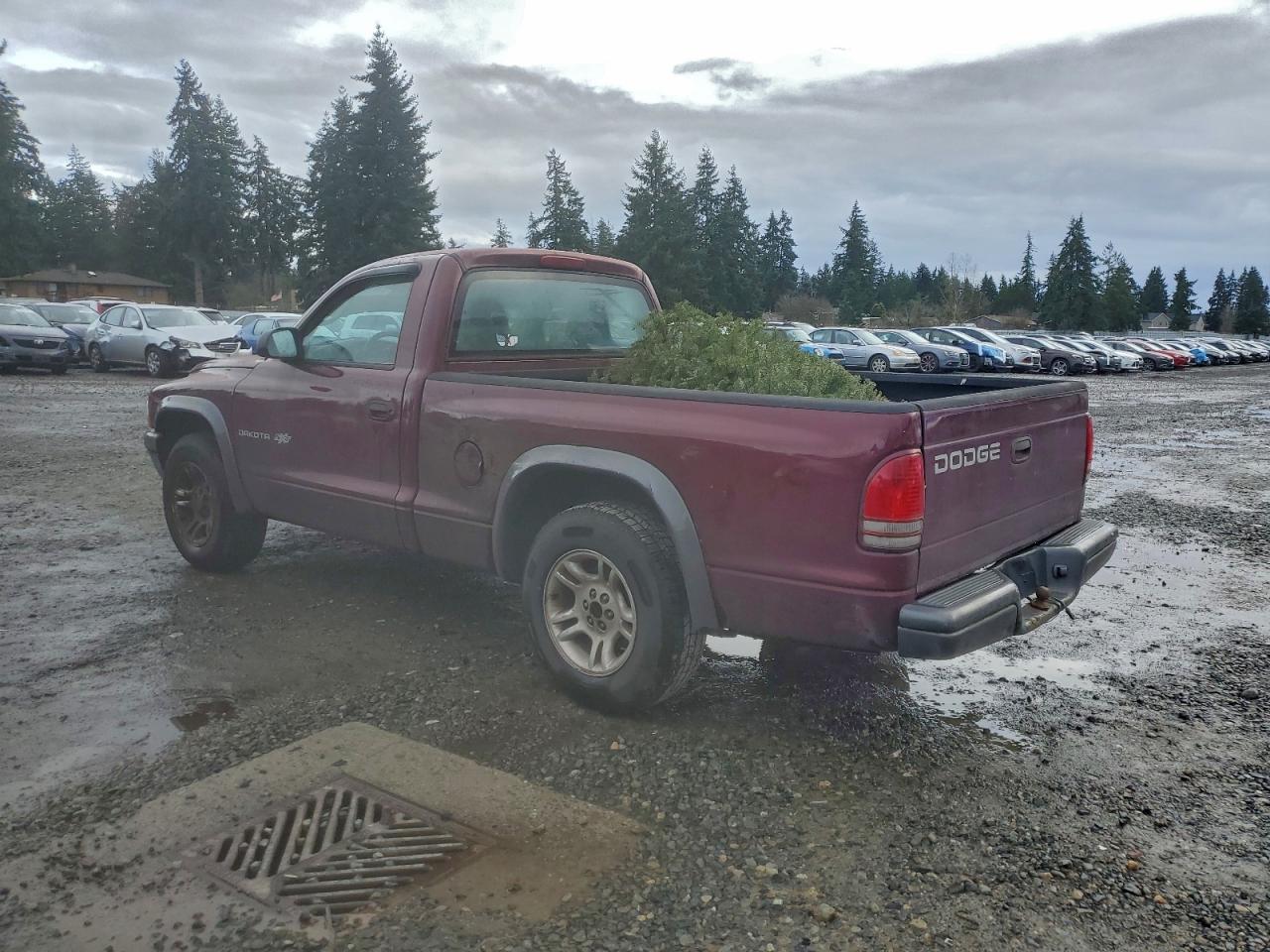 Dodge Dakota Base Image 3