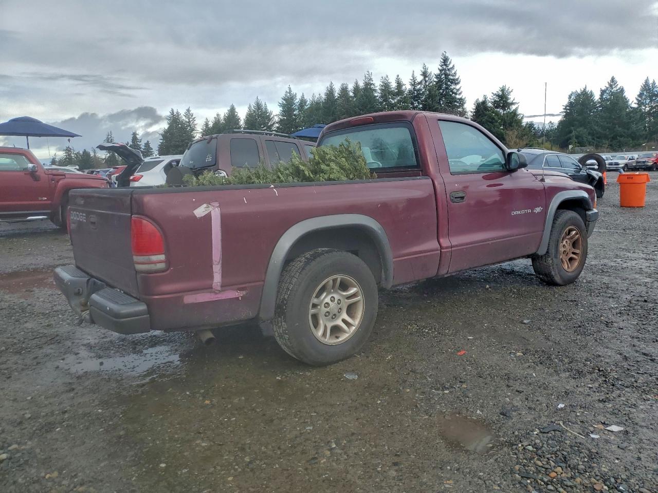 Dodge Dakota Base Image 7