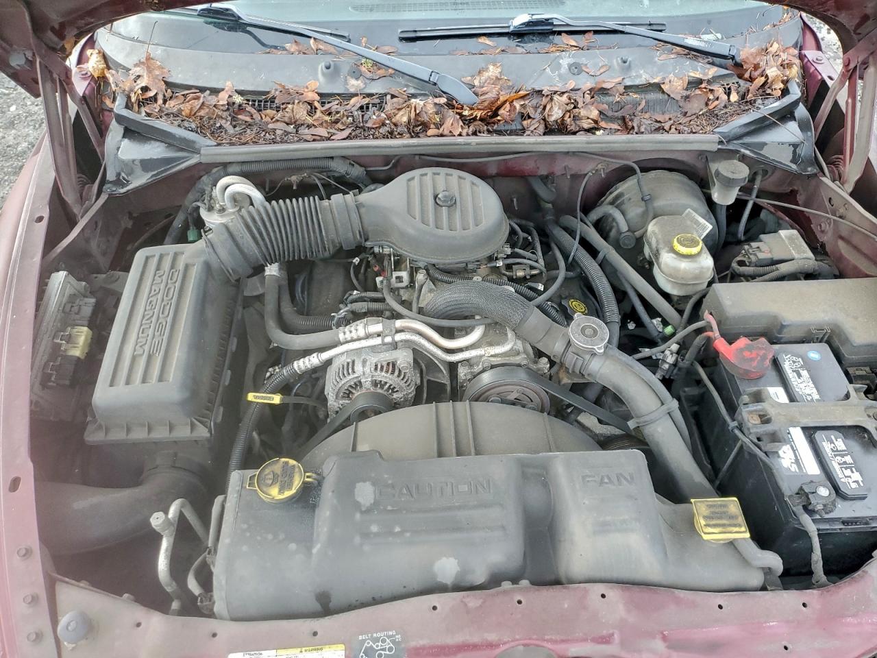 Dodge Dakota Base Image 2